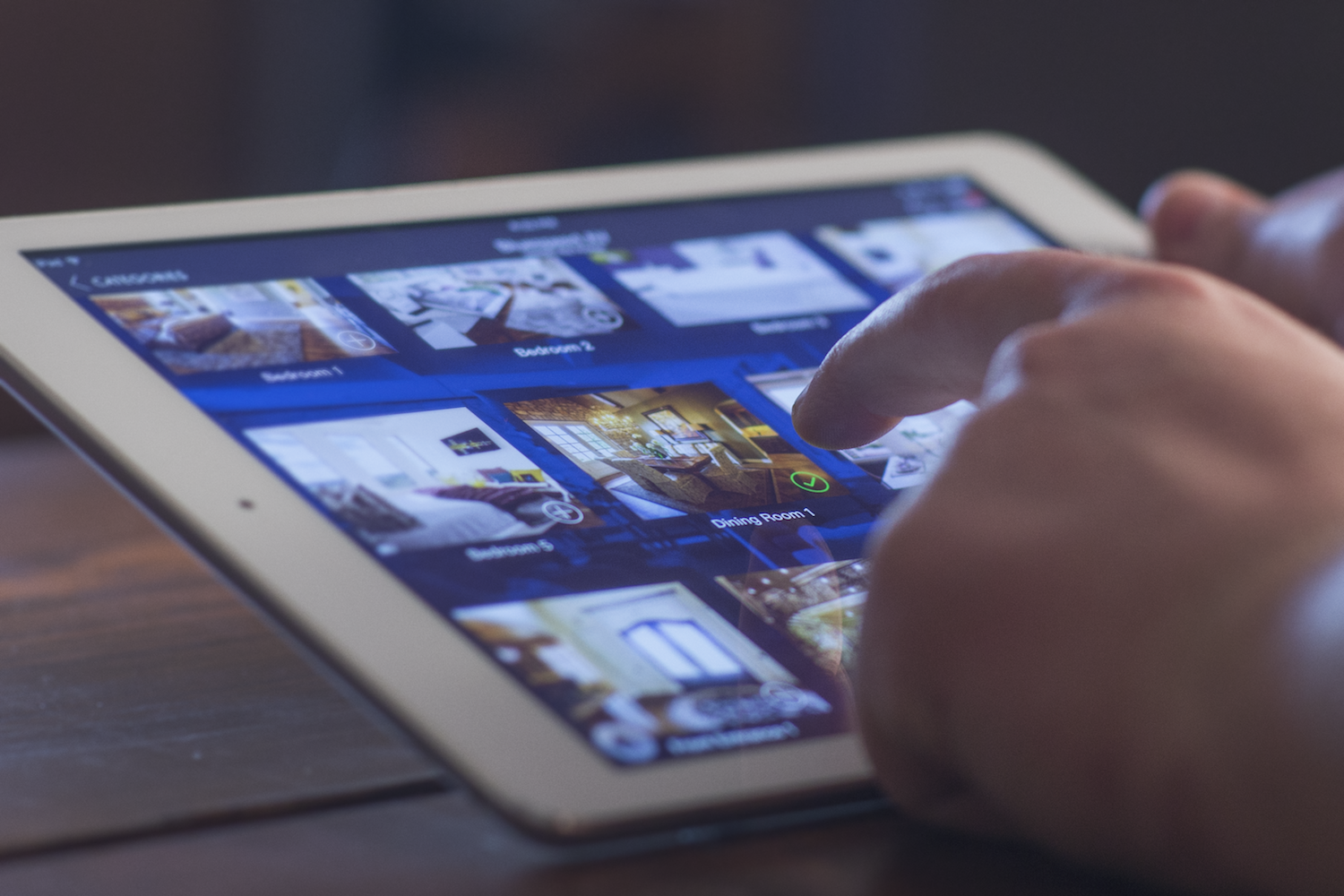 iPad Holding.png