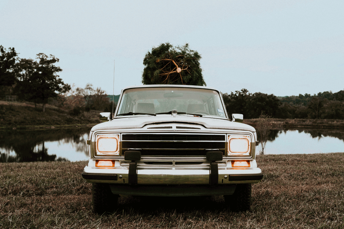 Headlightgif.gif