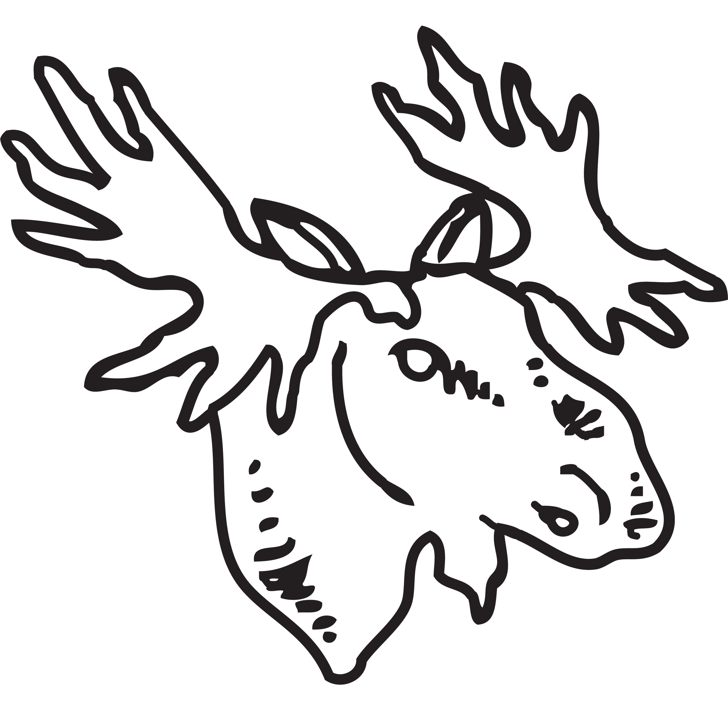 moose-maximum.png
