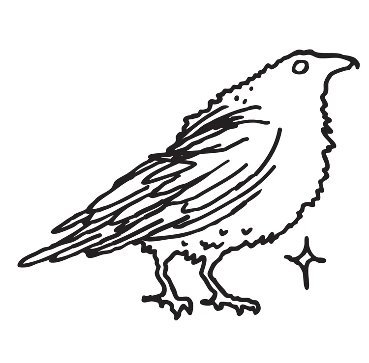 Barren Ground decaf raven artwork