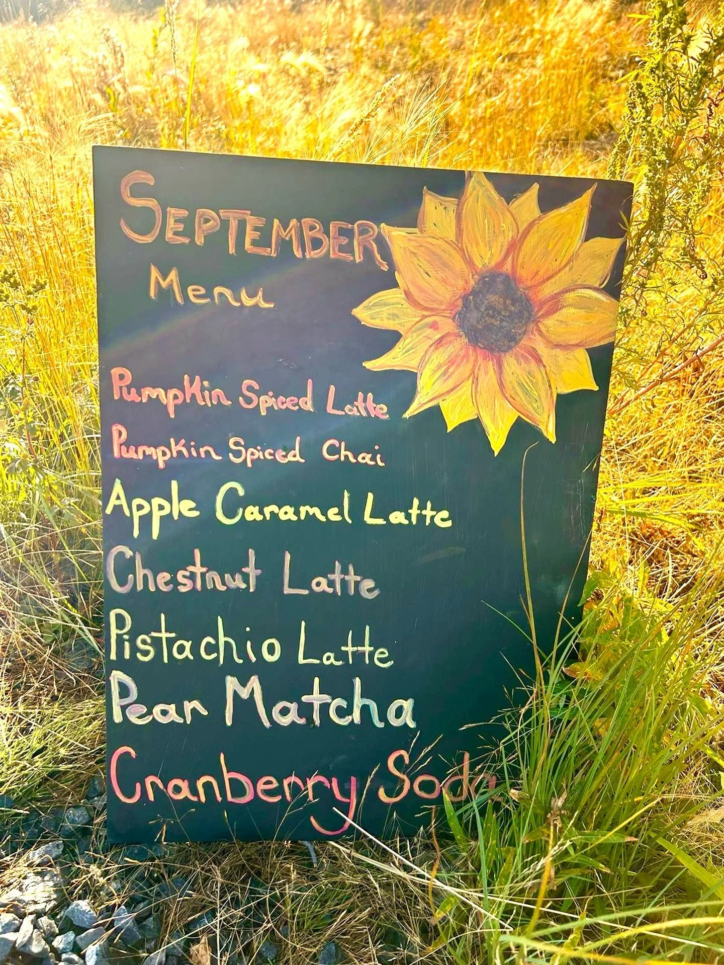 𝗡𝗲𝘄 𝗙𝗮𝗹𝗹 𝗗𝗿𝗶𝗻𝗸𝘀!

Stop by to check out our new Fall menu 🍂 

What drink do you want to try first? 

📍 Barren Ground Coffee

#barrengroundcoffee #new #falldrinks #pumpkin #apple #chai #caramel #latte #cranberry #soda #localcoffeeshop #l