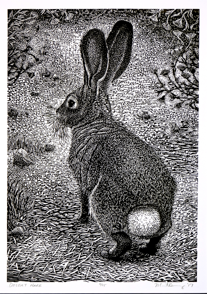 Desert Hare | 2018 | relief print | available