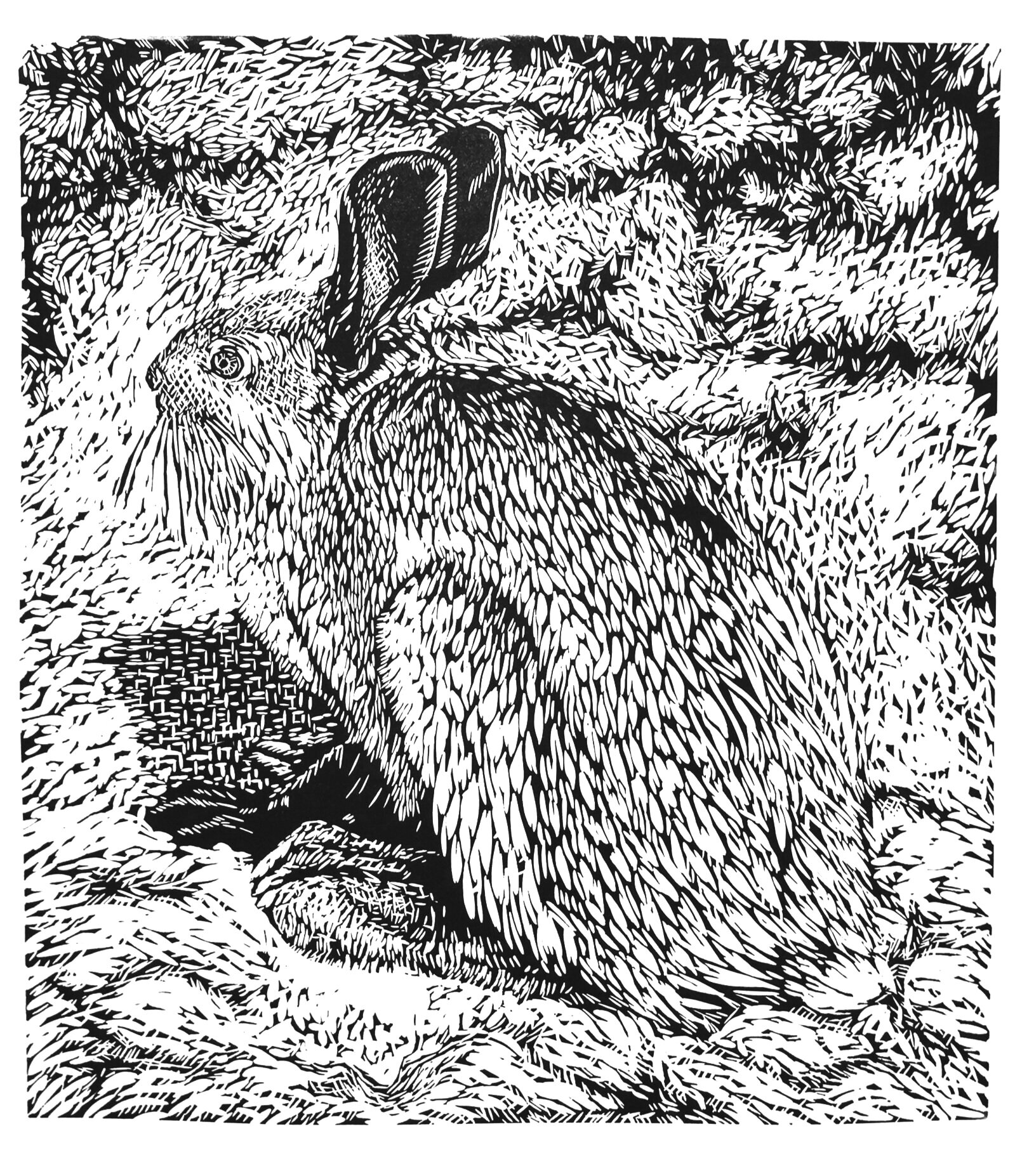 Arctic Hare 2015 | Relief Print |  17 x 20"