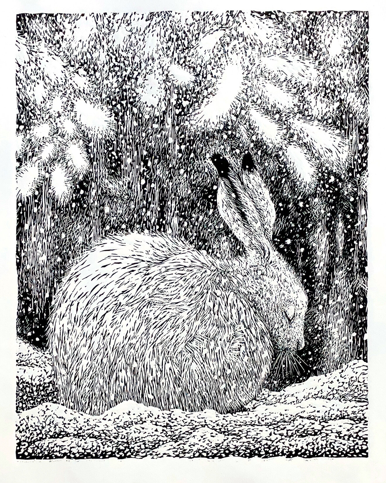 Arctic Hare in Snow | 2018 | relief print | available