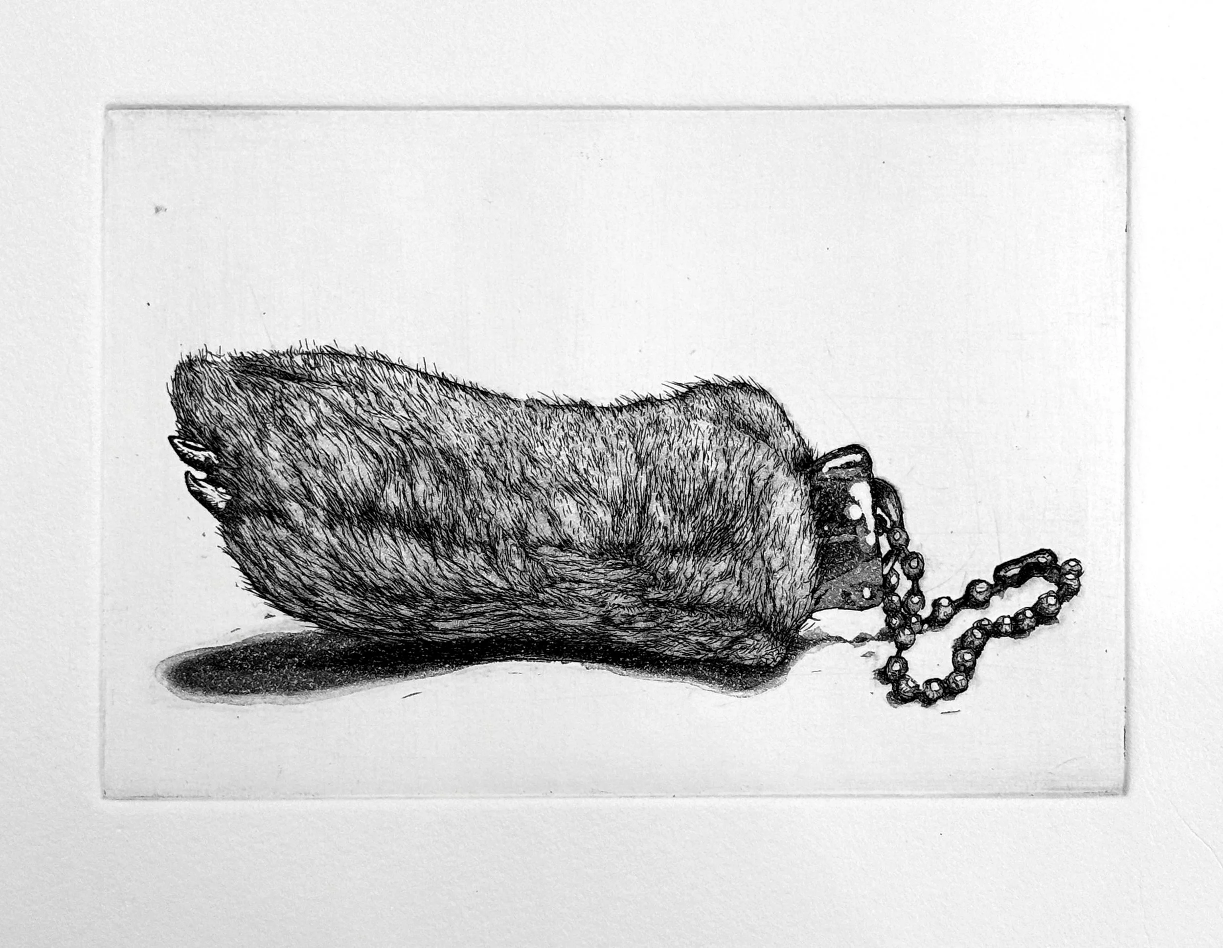 rabbits foot etch.jpg