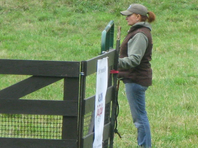 Vashon Sheepdog Classic