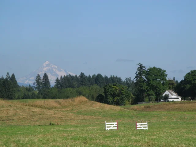 Lacamas Valley SDT