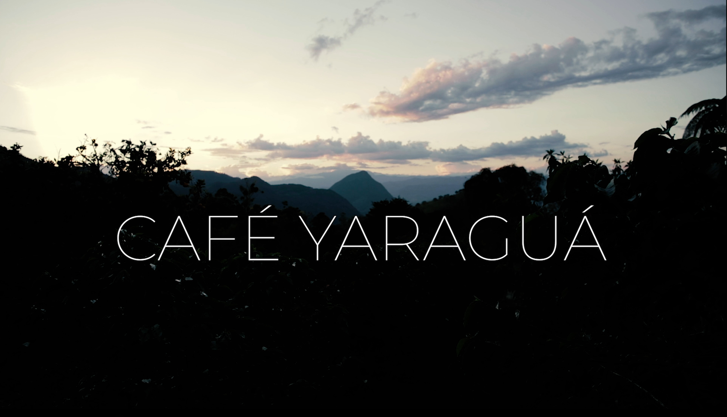 Cafe Yaragua