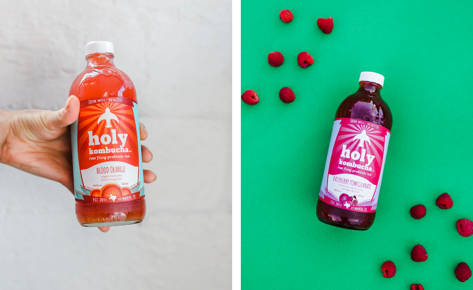 Holy-Kombucha_2.png