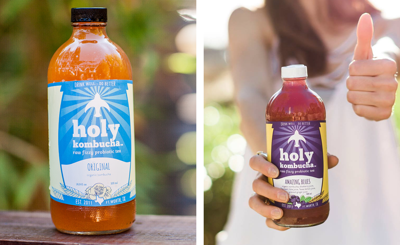 Holy-Kombucha_5.png