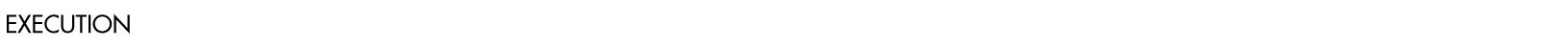 Execution Header.png