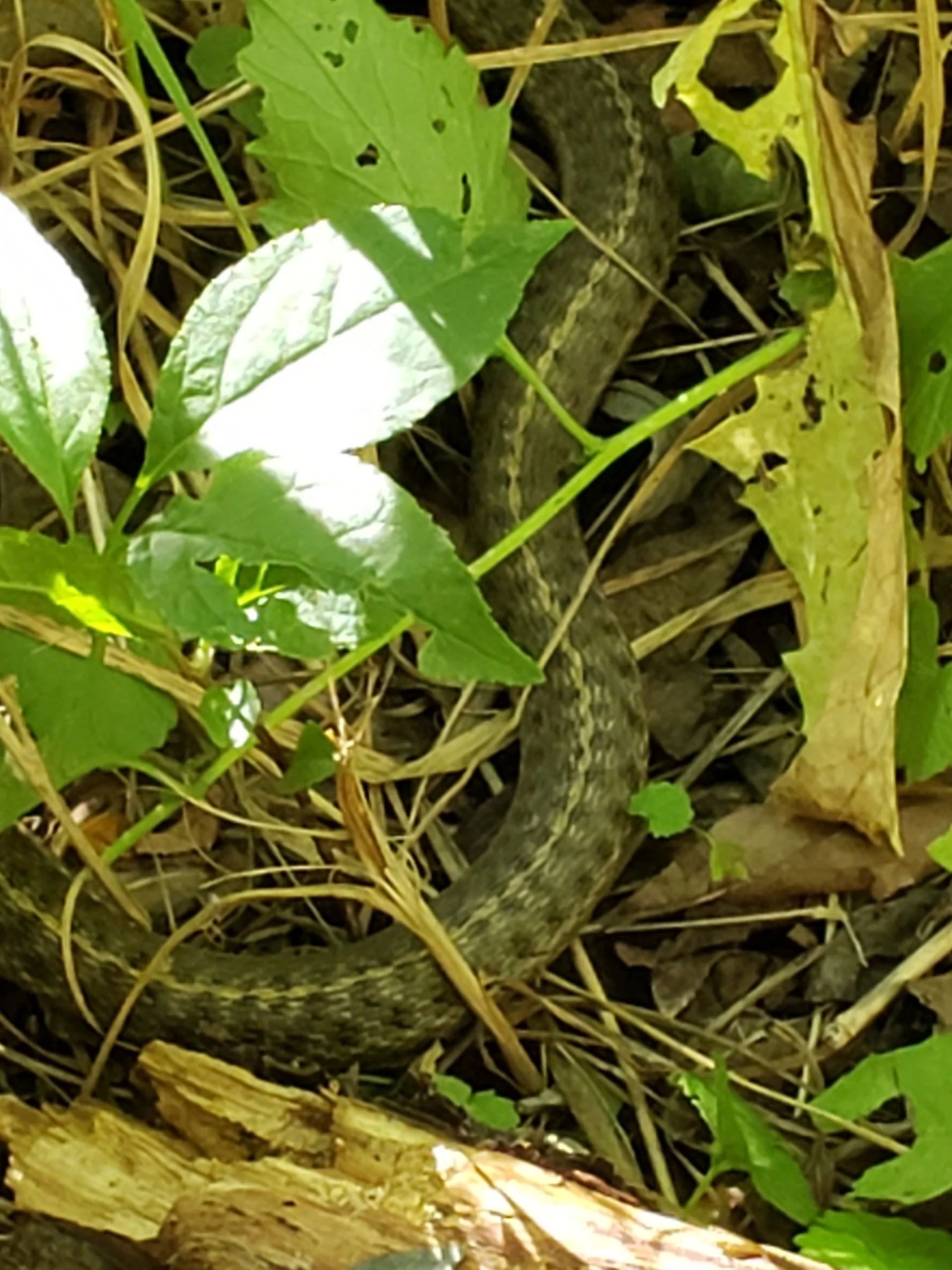 Your Divine Guidance: Are You Missing the Signs?