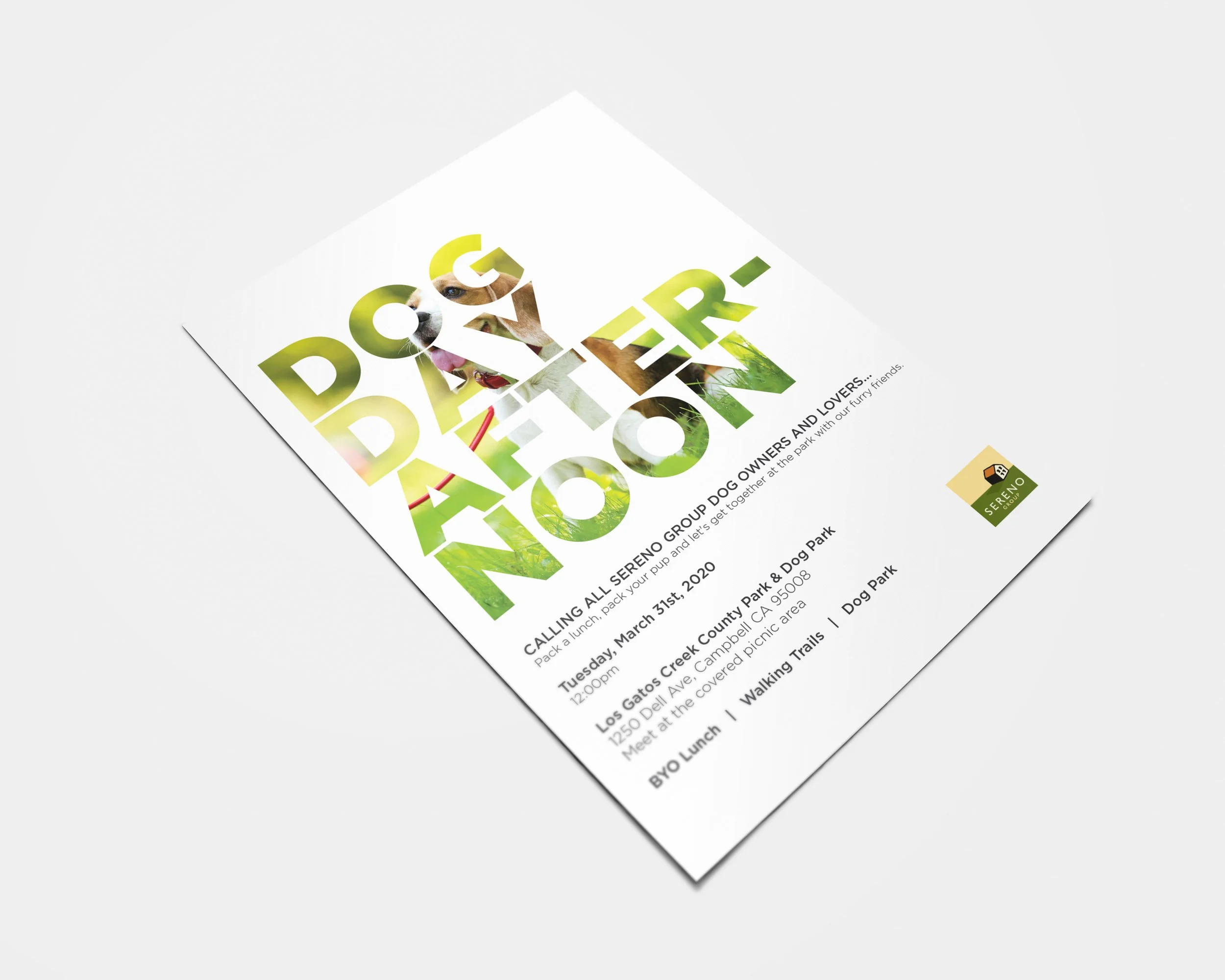 The work was not only limited to print material but also using social media. As the company was moving more to web and digital assets for marketing, I started doing more graphic design work related to social media.