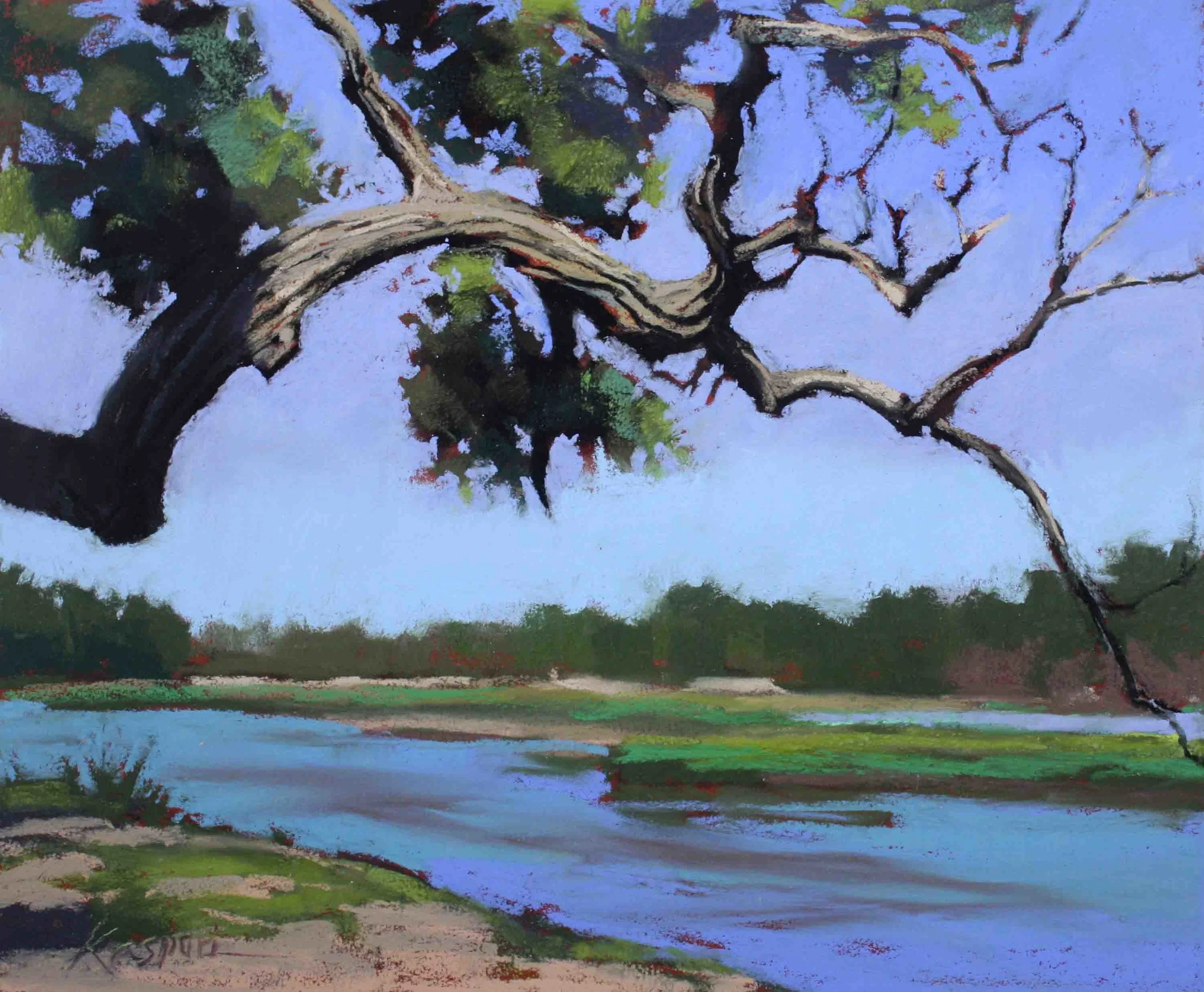 Platte River Cottonwood by Debby Kaspari