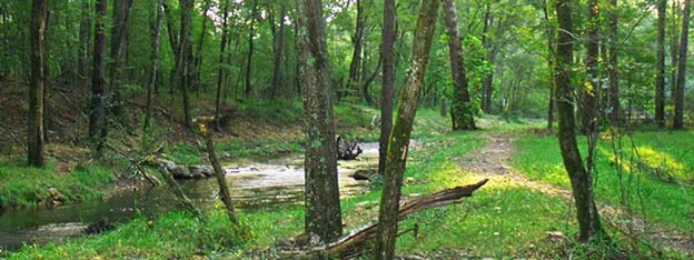 Beavers Bend River