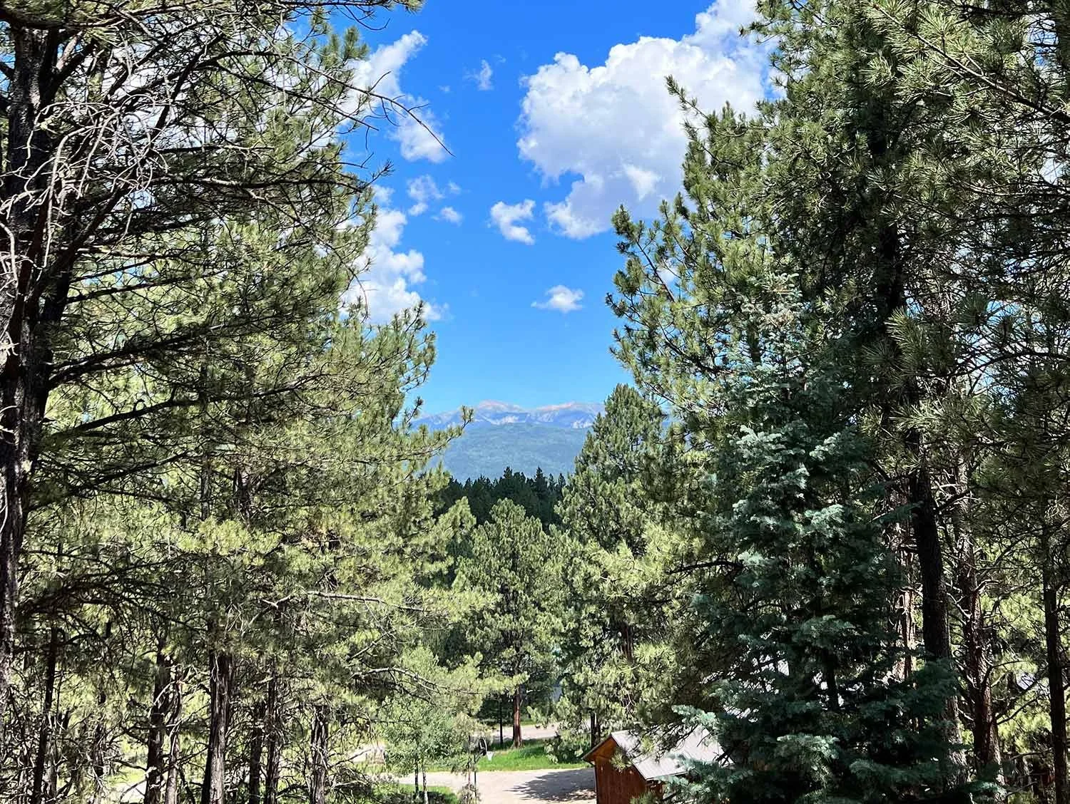 Rustic Chalet Cabin Luxury Cabin Rental in Angel Fire, NM