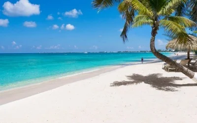beach.jpg