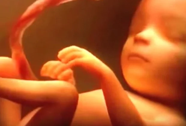 baby-growing.jpg