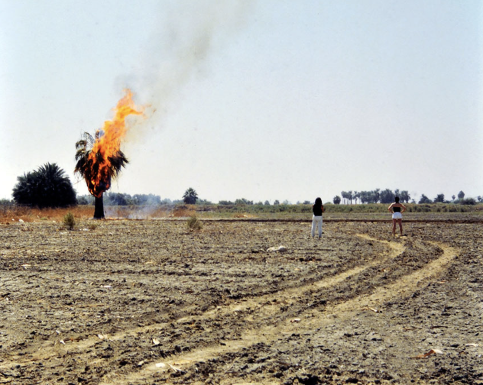MASSAKER (2005)