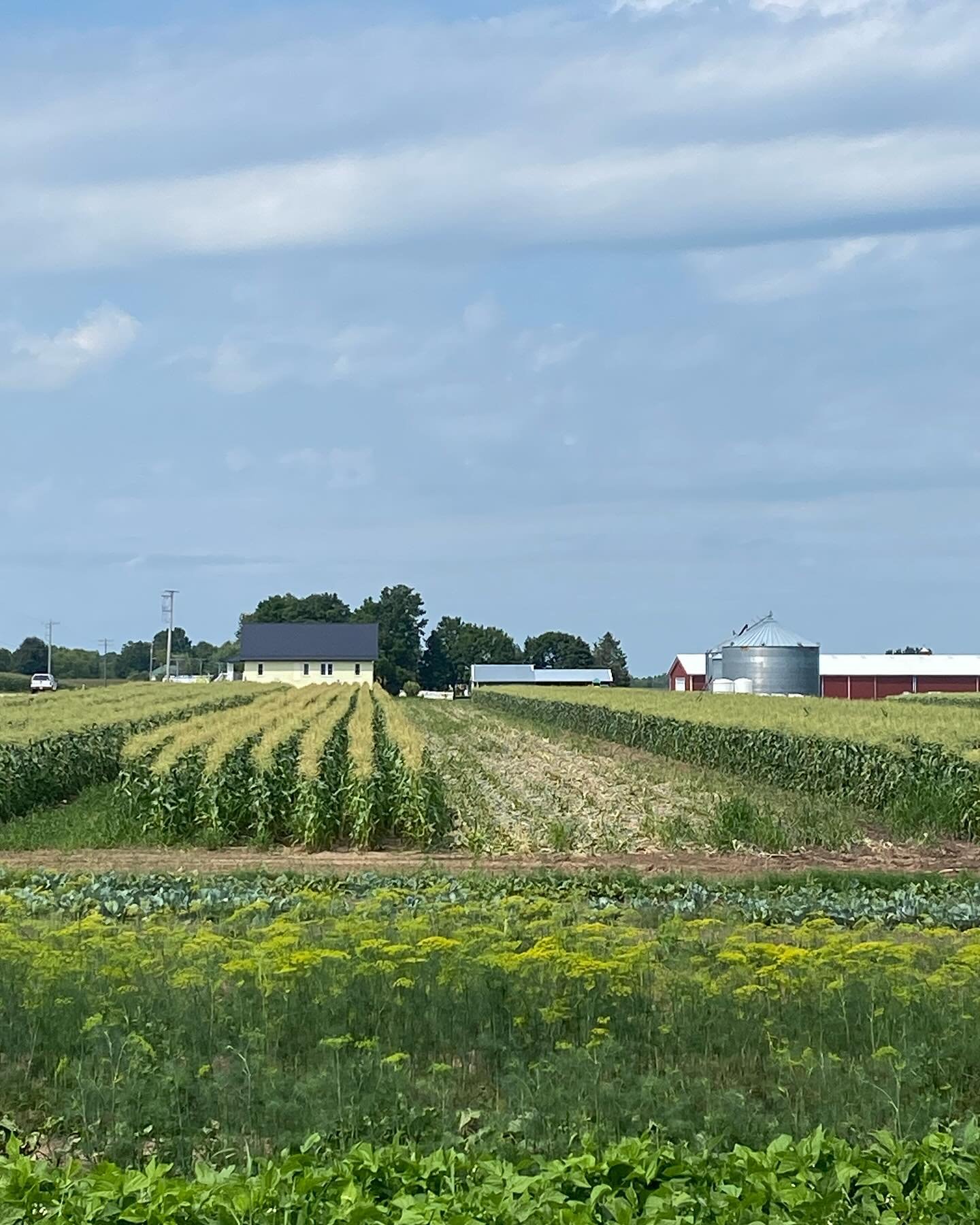 I recently spent a 4-day weekend in WI. It&rsquo;s been a long time since I&rsquo;ve been to my home state during the summer. It made me realize what I was missing.

I saw roadsides ablaze with wild flowers, small towns filled with festivities, every