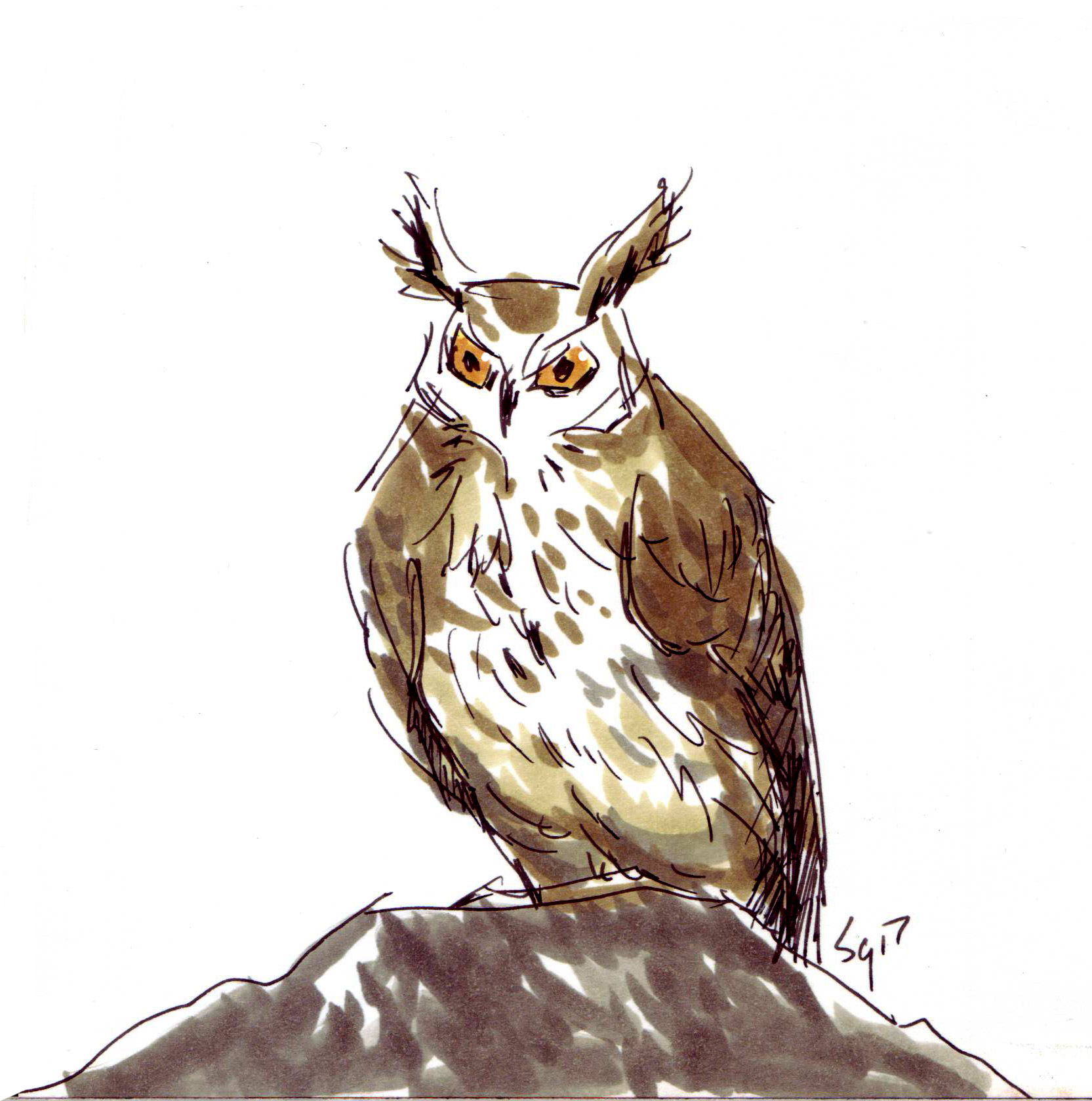 HORNED_OWL_1.jpg