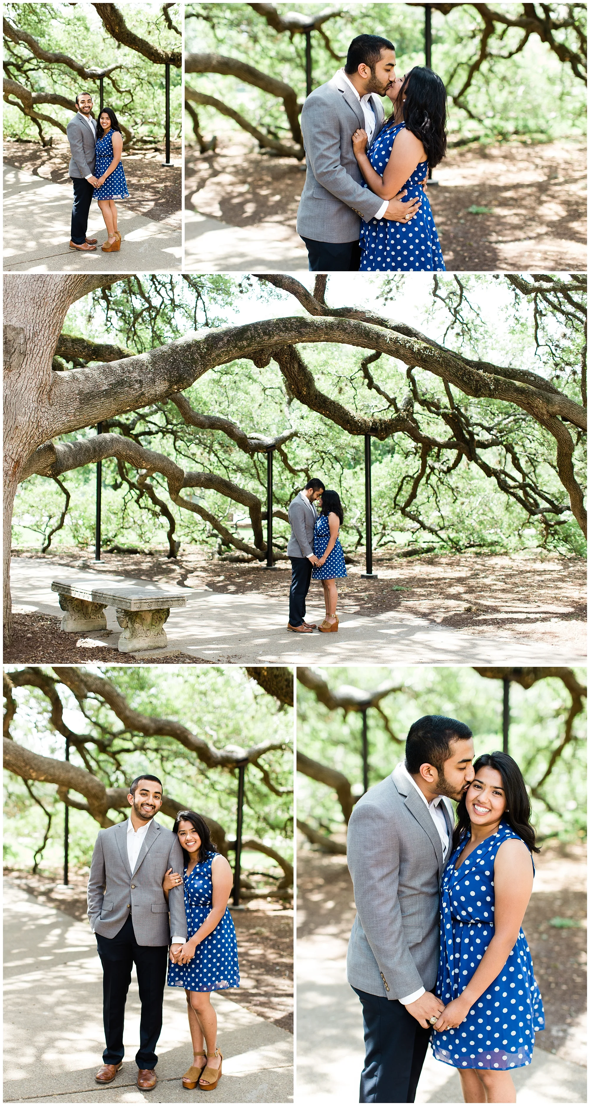 Century_Tree_Proposal_0004.jpg