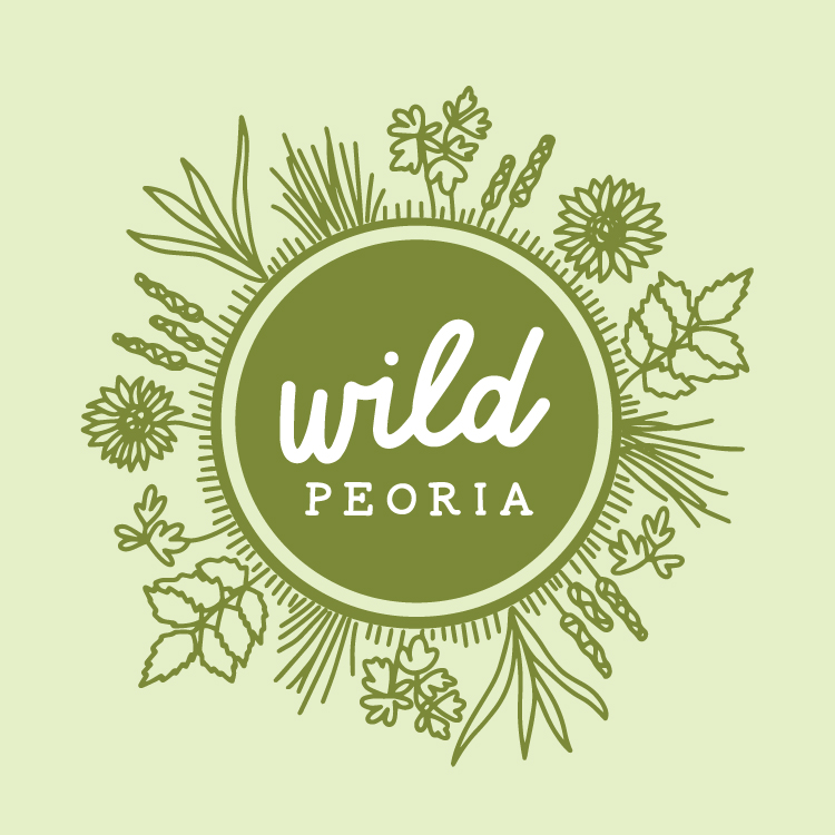 Copy of Wild Peoria Logo Design