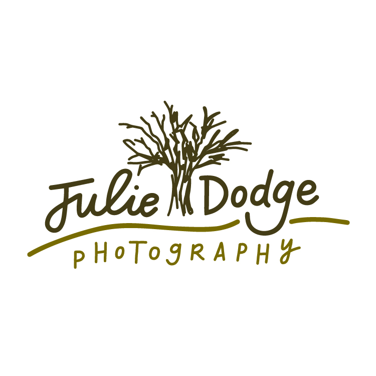 Copy of Julie Dodge Photography Logo Design