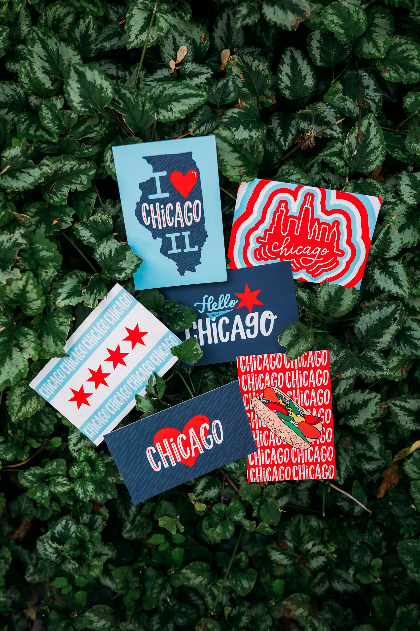 Chicago Style Postcards