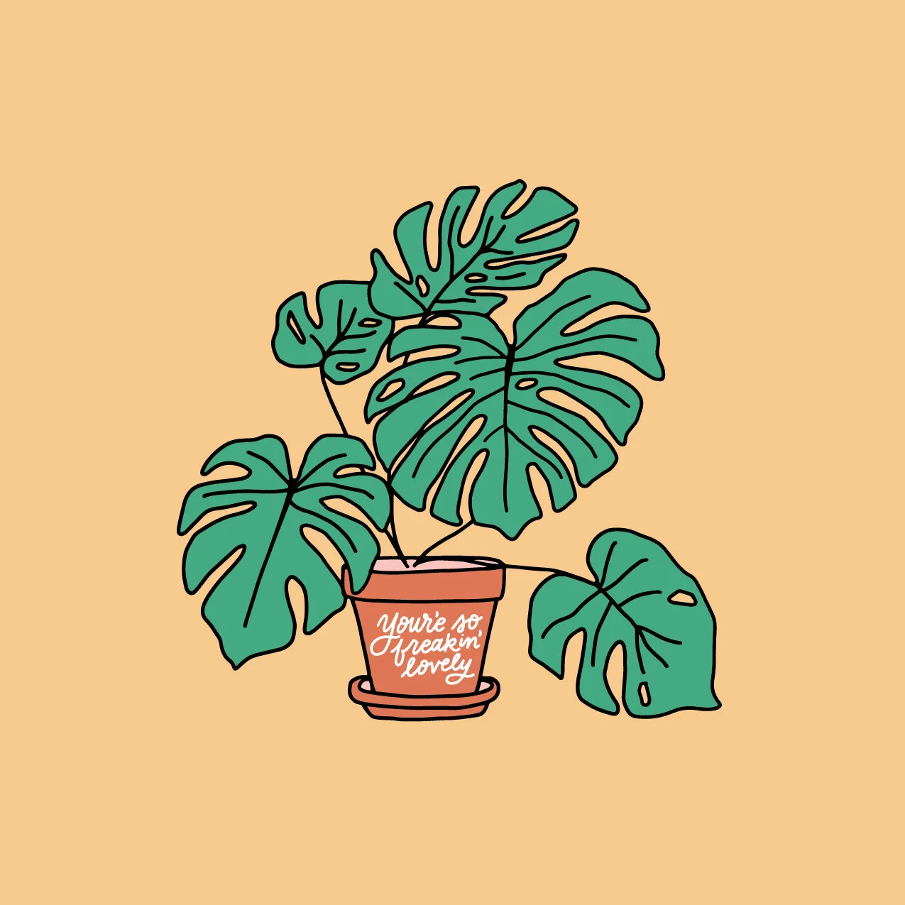 Lettering Works Launches New Plant-Inspired Line — Lettering Works