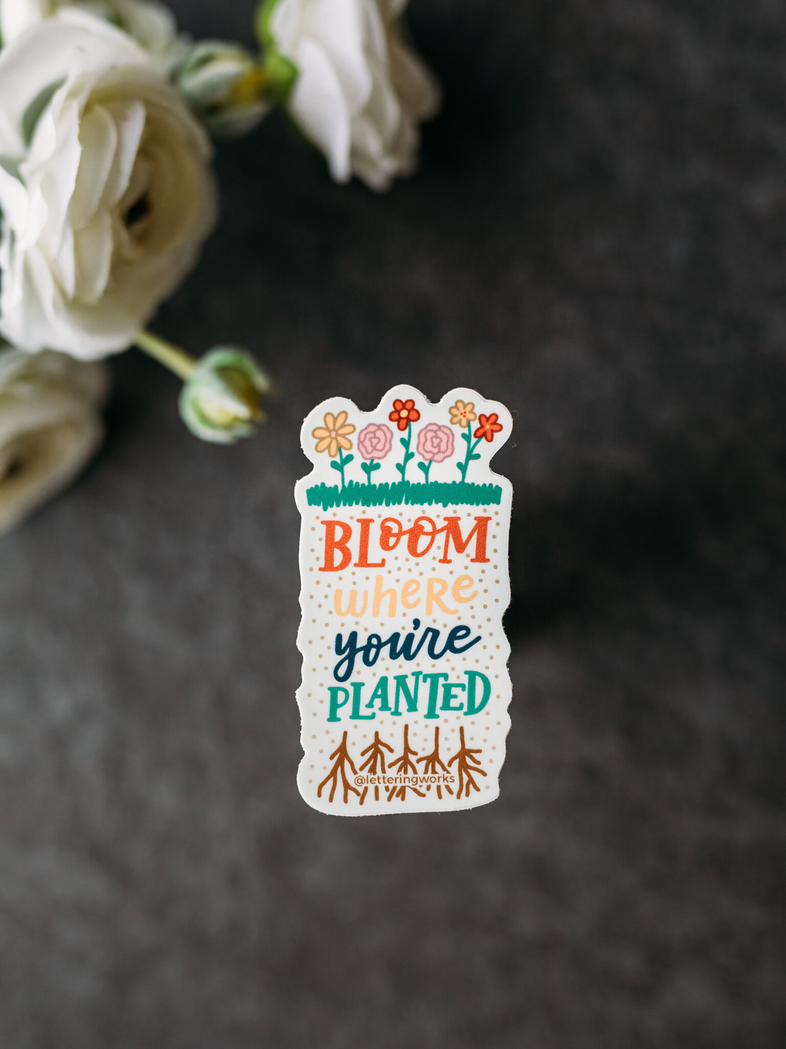 Bloom Where You're Planted Sticker Product Photo