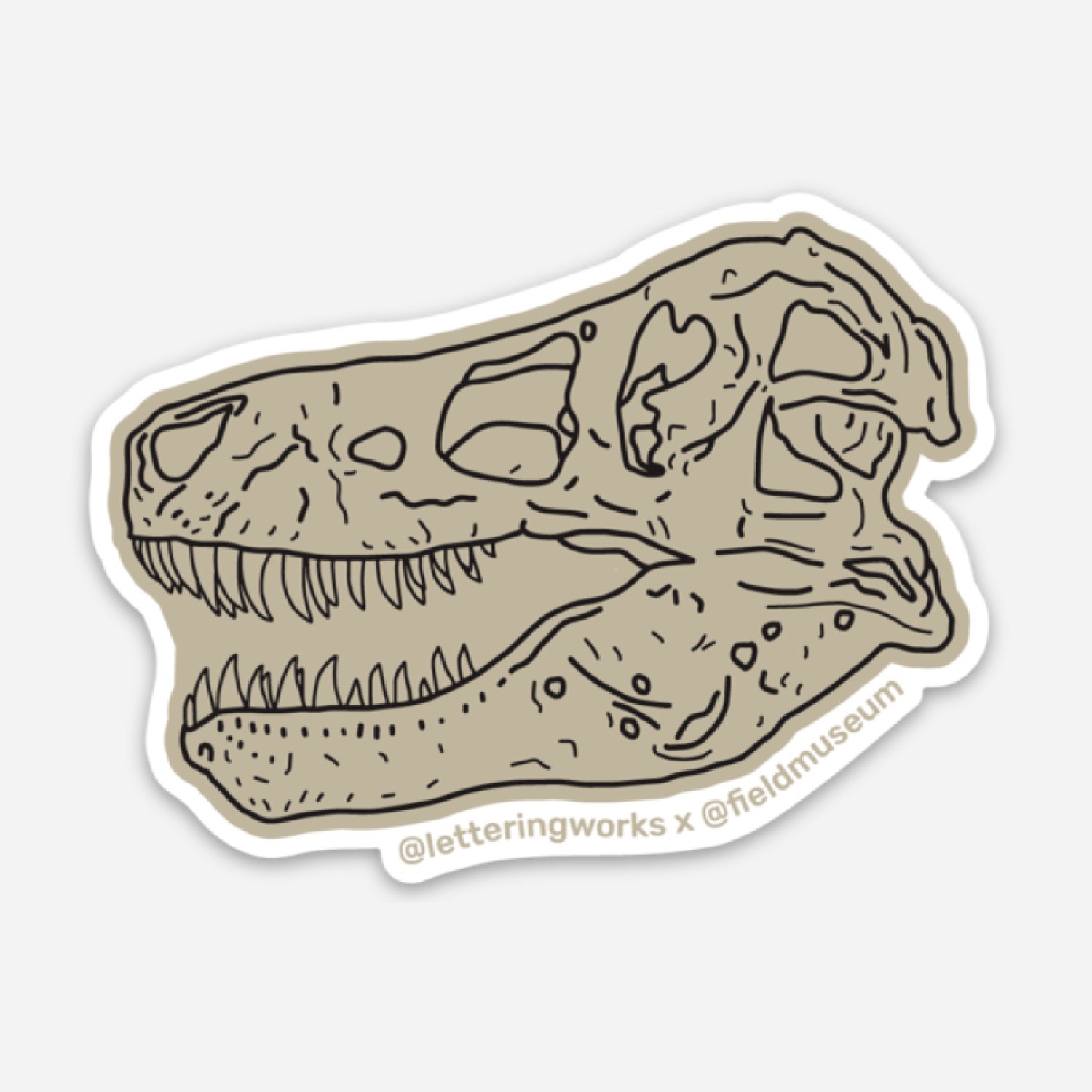 Stickers-Squarespace-FieldMuseumCustom-02.jpg