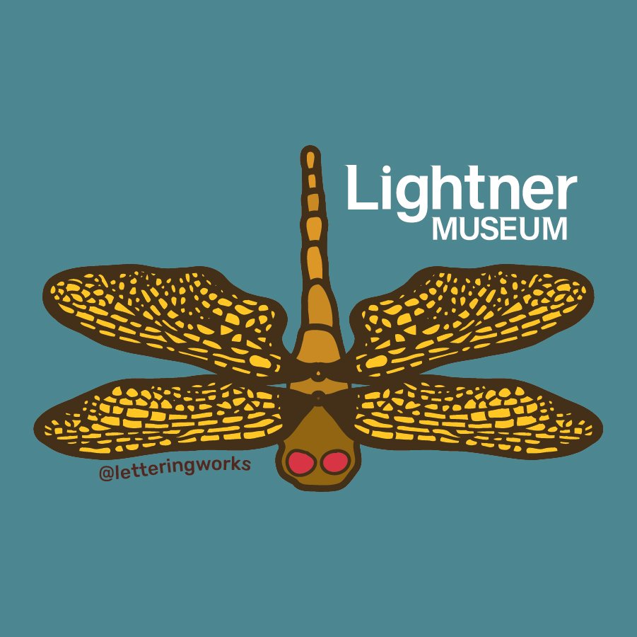 Lightner Museum Tiffany Dragonfly