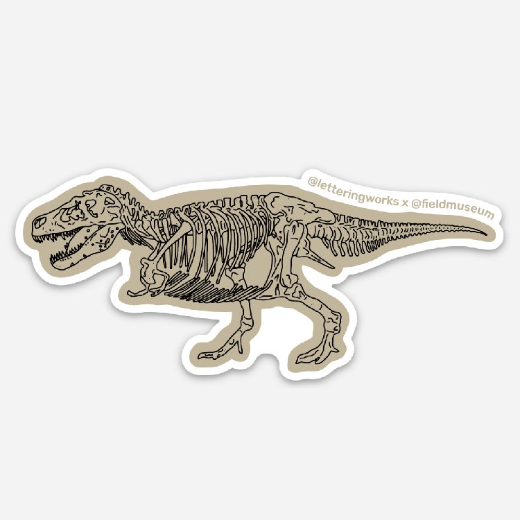 Stickers-Squarespace-FieldMuseumCustom-Dinosaur-17.jpg