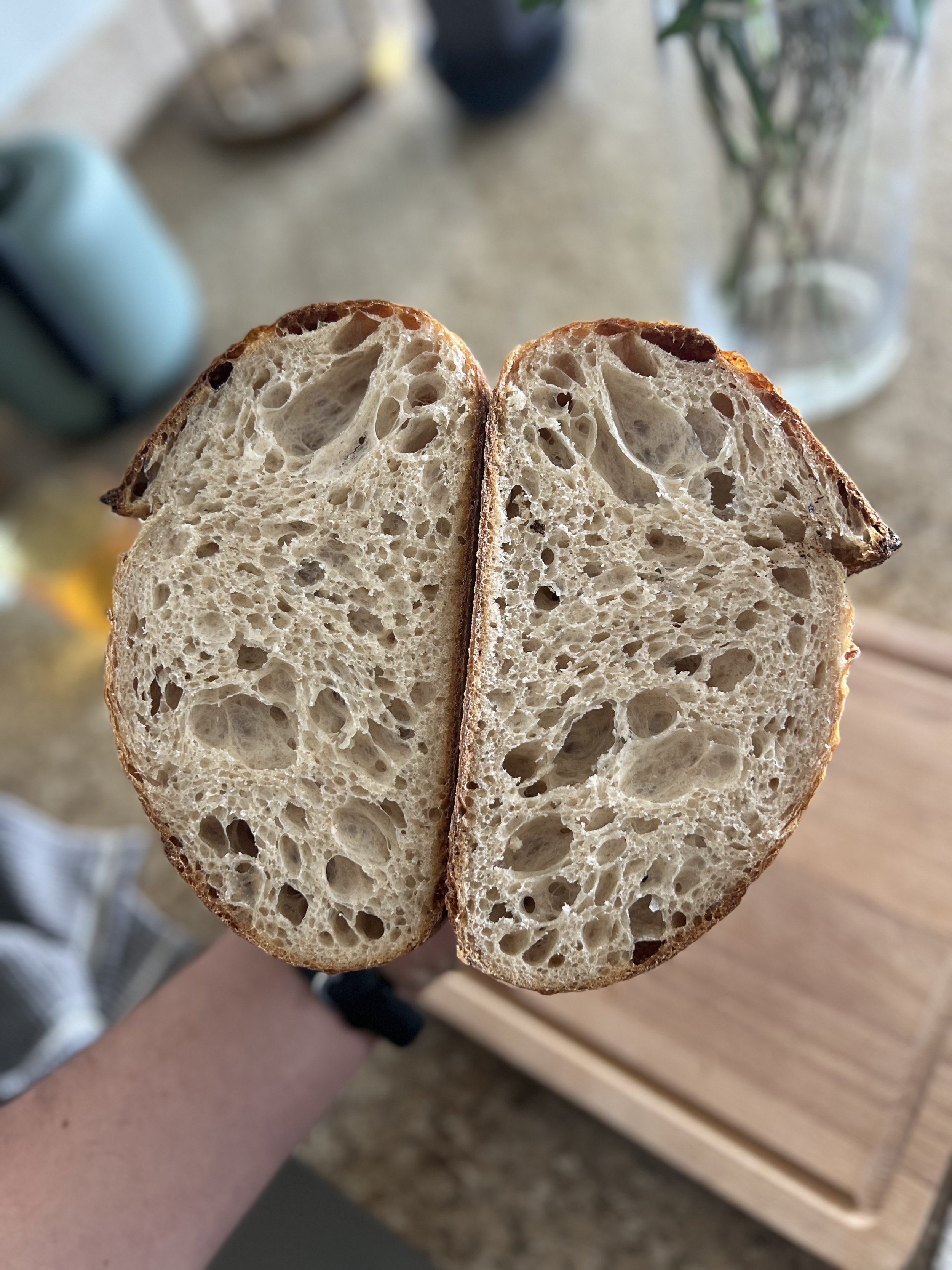 IMG_0101.jpeg