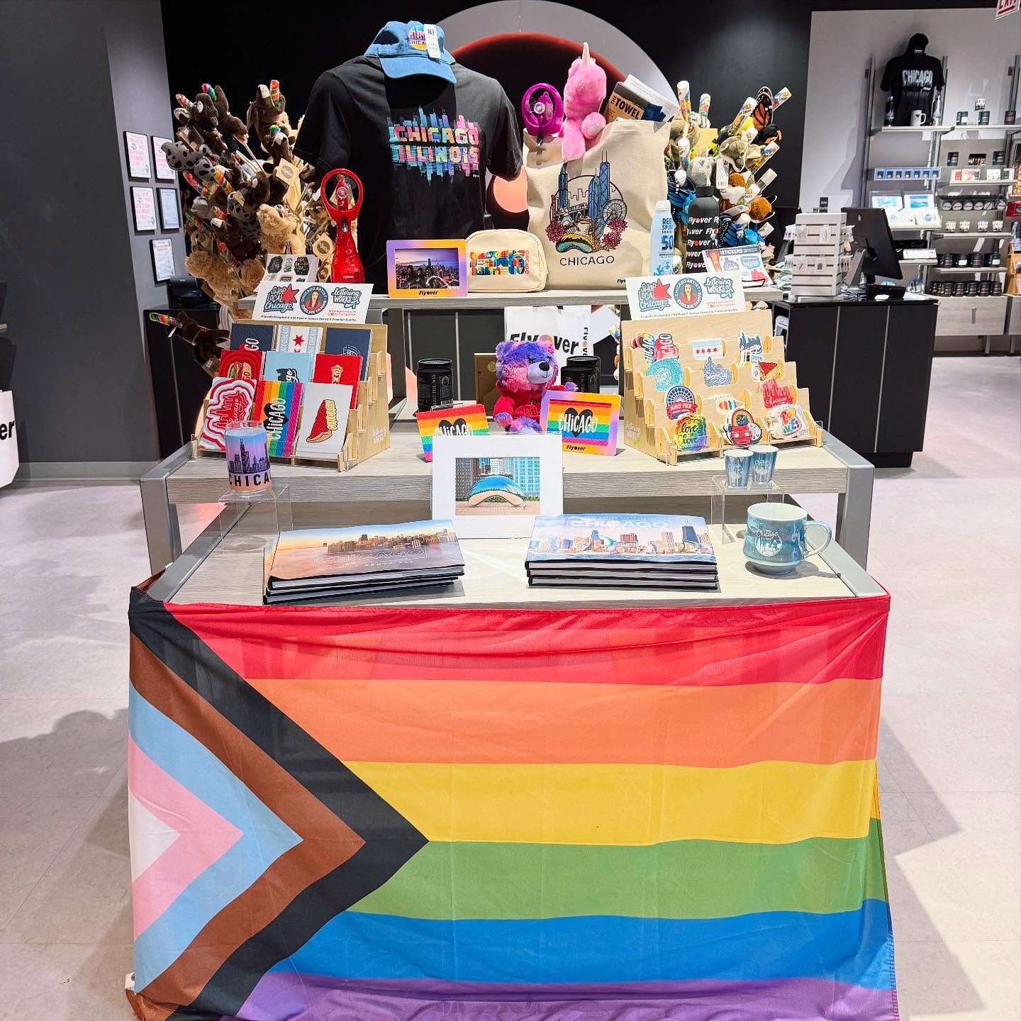 Happy Pride Month, friends ❤️🧡💛💚💙💜

You can find our pride collection year-round on our website and in select shops around Chicago and beyond. 💕

We&rsquo;ve got individual stickers as well as a pride sticker sheet. I just restocked @flyoverchi