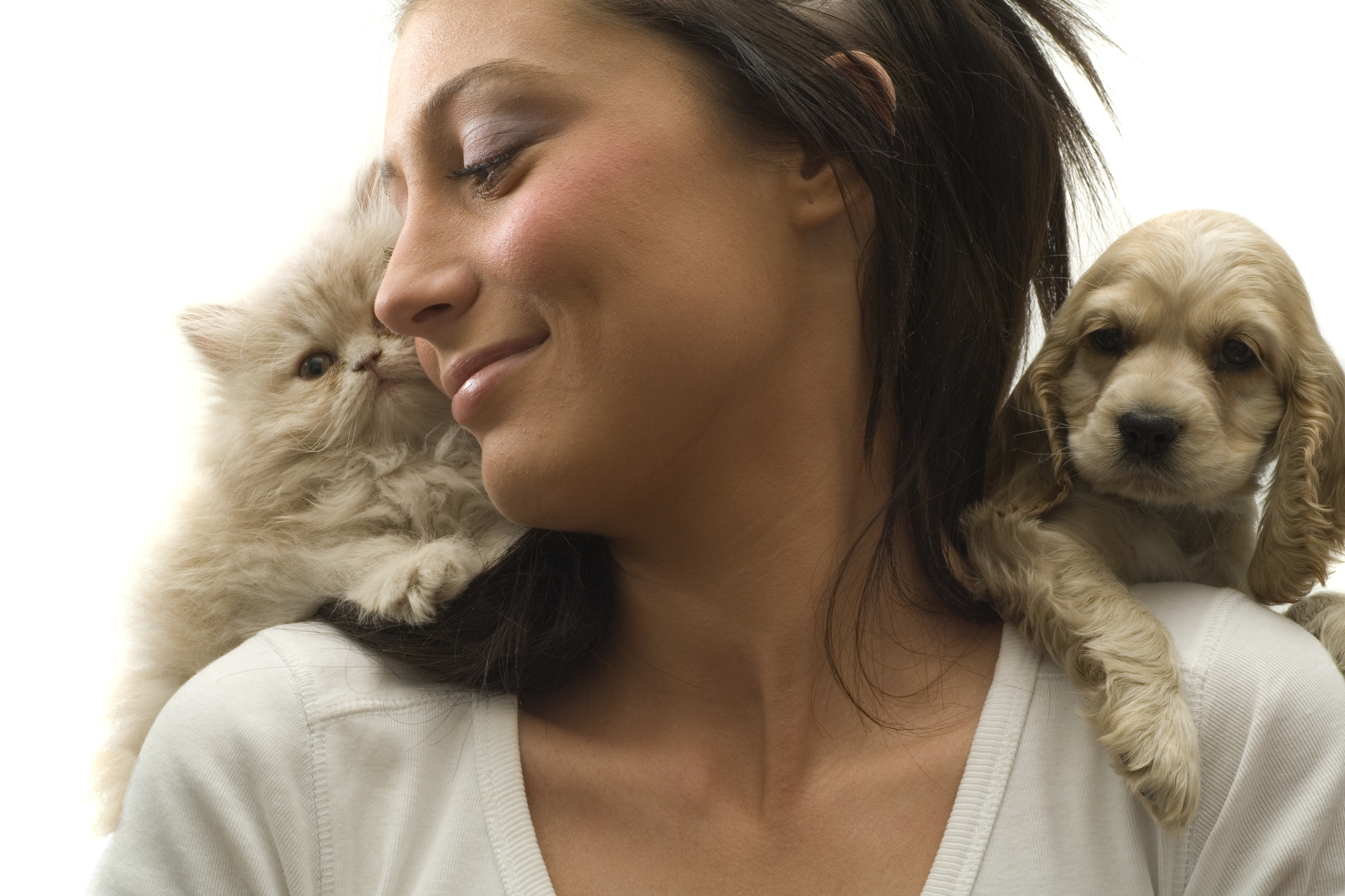 Photo by 101cats/iStock / Getty Images
