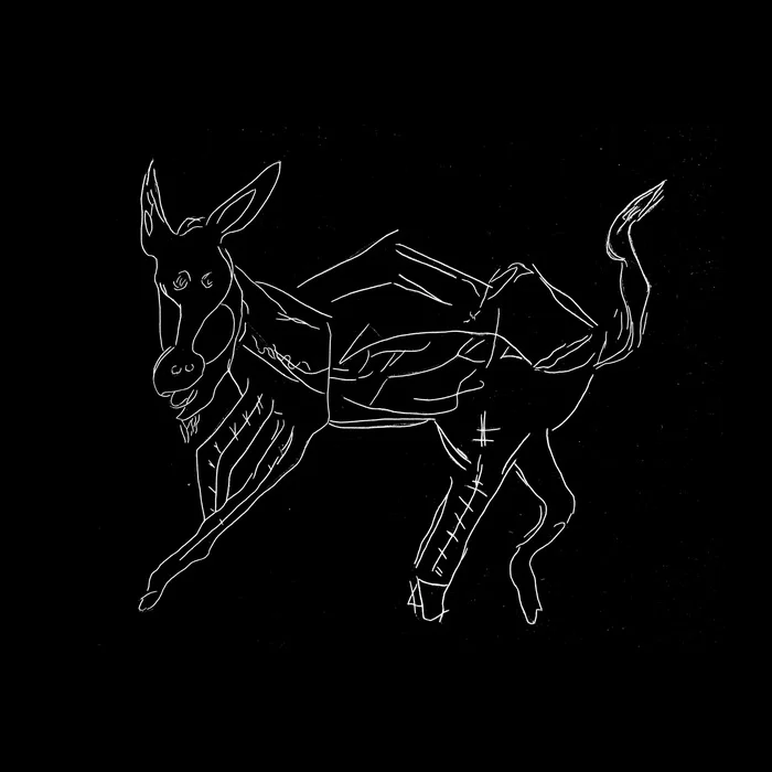 Donkey
