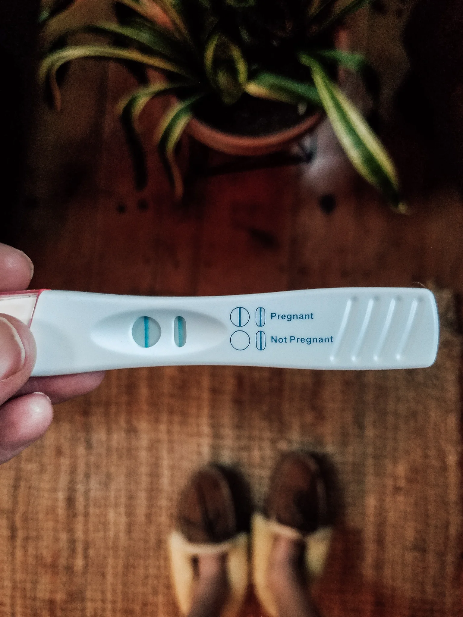 2610-2018-040028111942065146581.jpeg