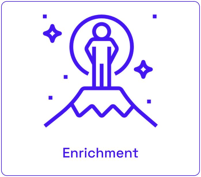 Enrichment icon