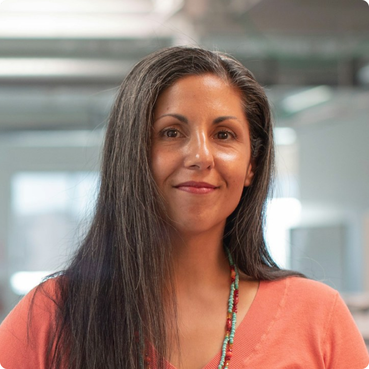 An image of an enterprise architect