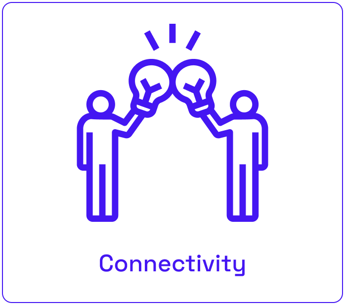 Connectivity icon