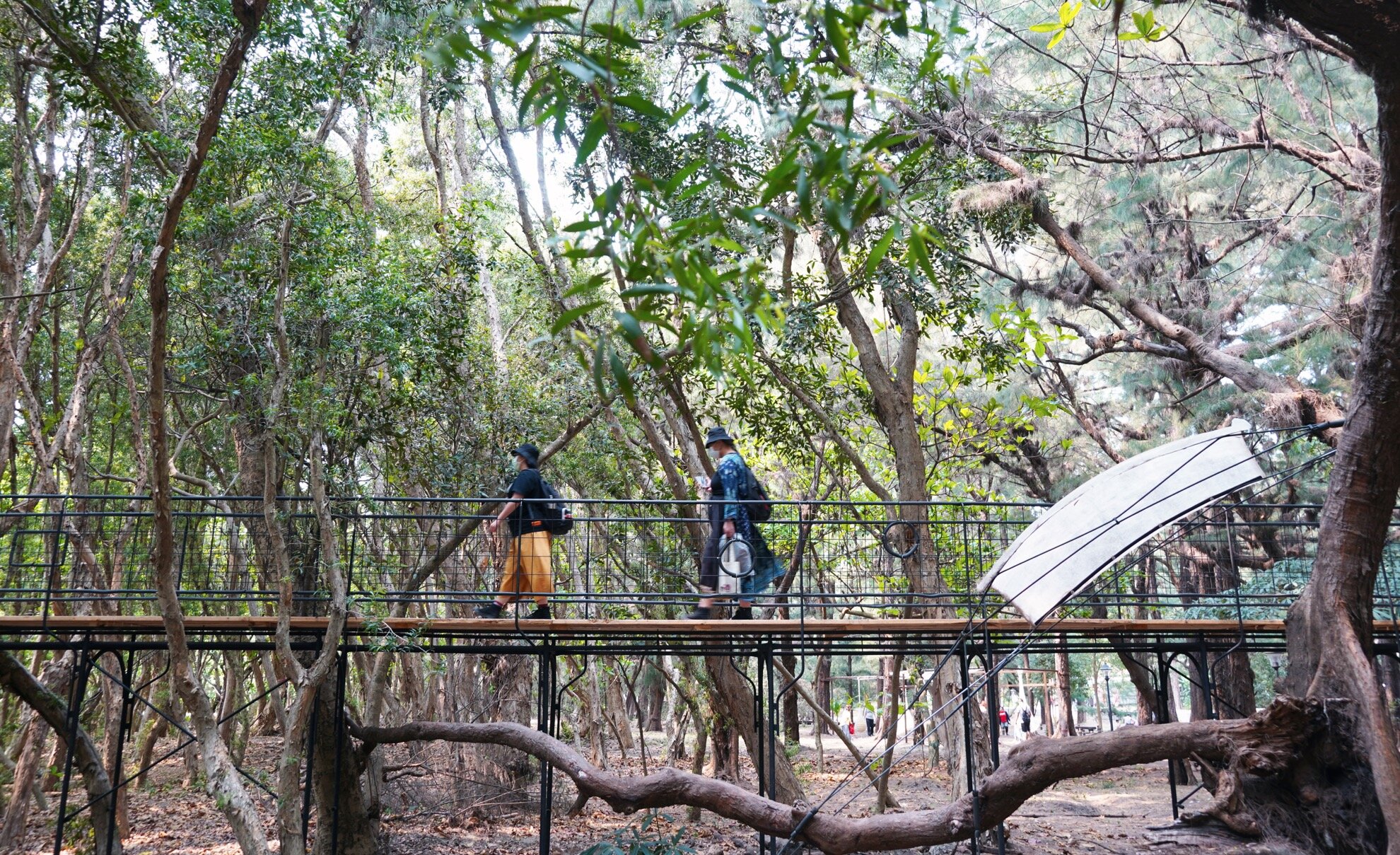 脫殼激動_陳建智04.JPG