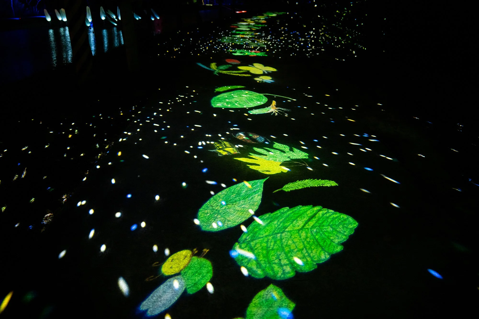 A25 時光數樹_都市藝術工作室&民眾共創_.jpg