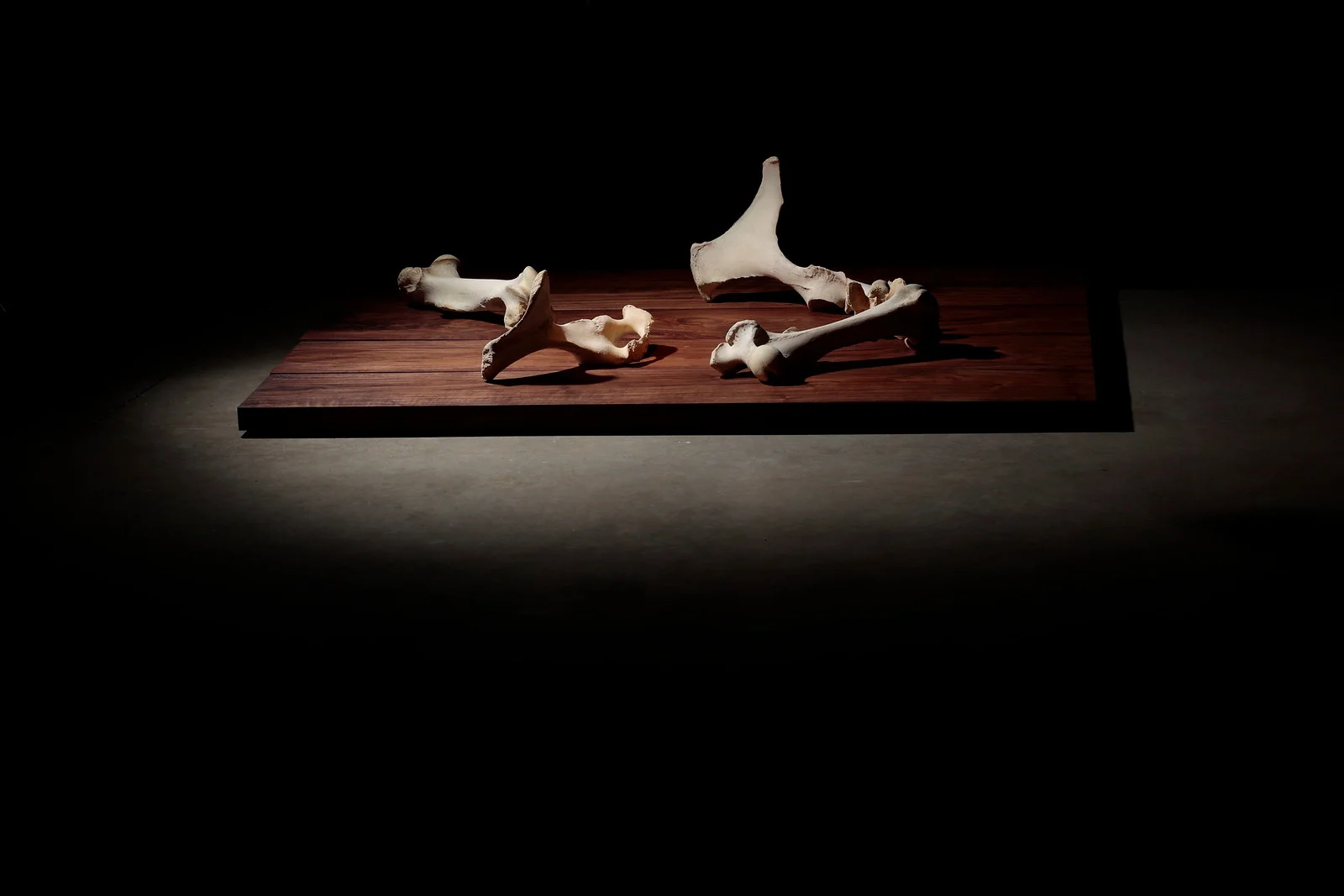 Nate Young , Attempts at Seeing (detail), 2017. Light, sound, horse bones and walnut. Image courtesy of the artist and Monique Meloche Gallery, Chicago.