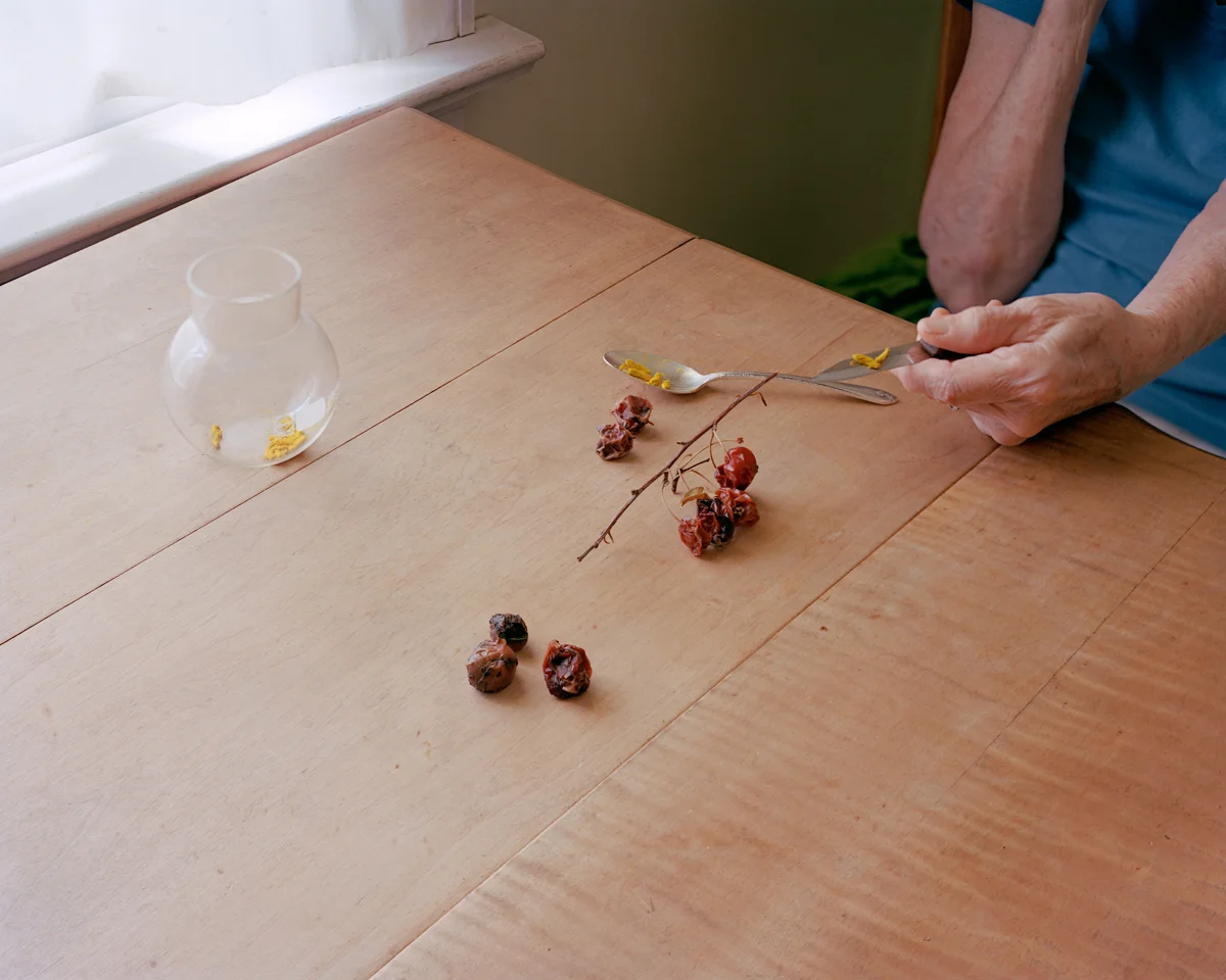 Susan Worsham , Pollen Knife (Margaret with Collected Pollen from my Mother's Camellia) , 2014. Archival pigment print, 20 x 25 inches. Image courtesy of the artist and Candela Books + Gallery, Richmond.