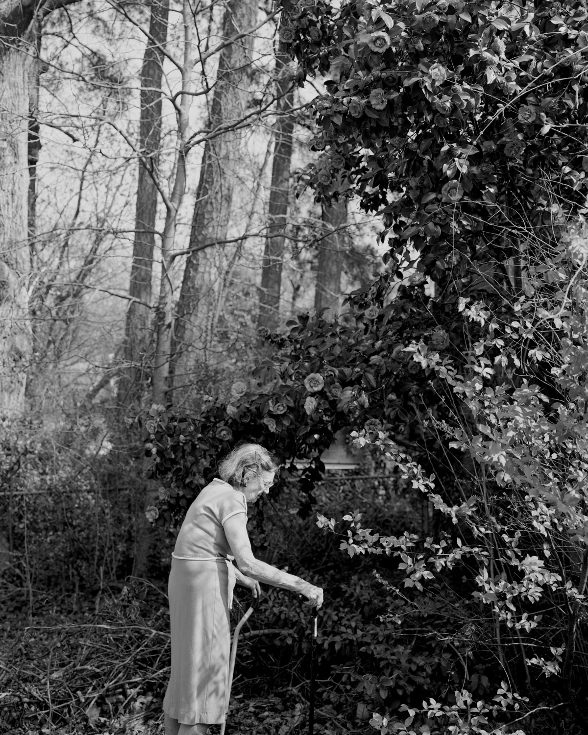 Susan Worsham , Margaret with Giant Camellia Japonica, 2012. Archival pigment print, 50 x 40 inches. Image courtesy of the artist and Candela Books + Gallery, Richmond.