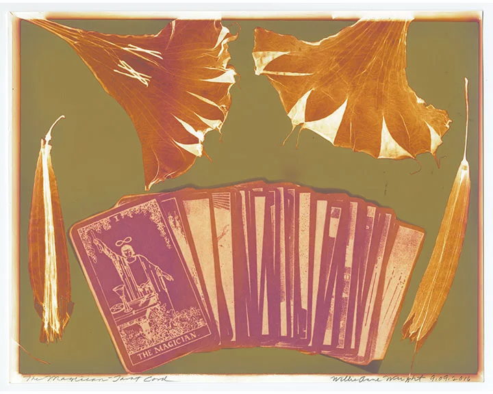 Willie Anne Wright , "The Magician" from Channeling the Tarot , 2016. Lumen print. Image courtesy of the artist and Candela Gallery , Richmond.