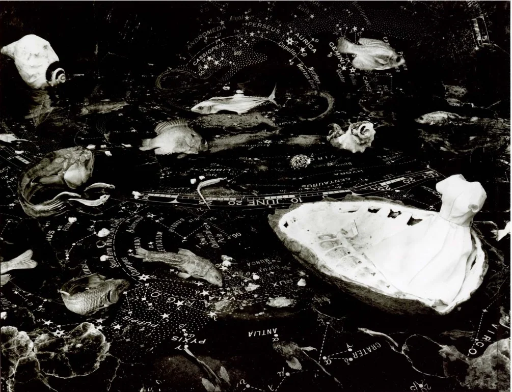 Pam Fox, South Celestial Pole , 2001, gelatin sliver print, 16 x 20 inches. Image courtesy of Candela Gallery.