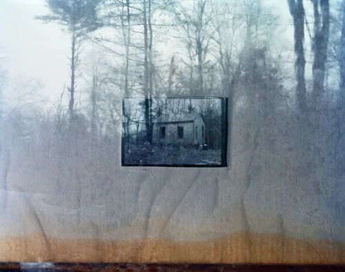 03_Forest Kelley v2.jpg